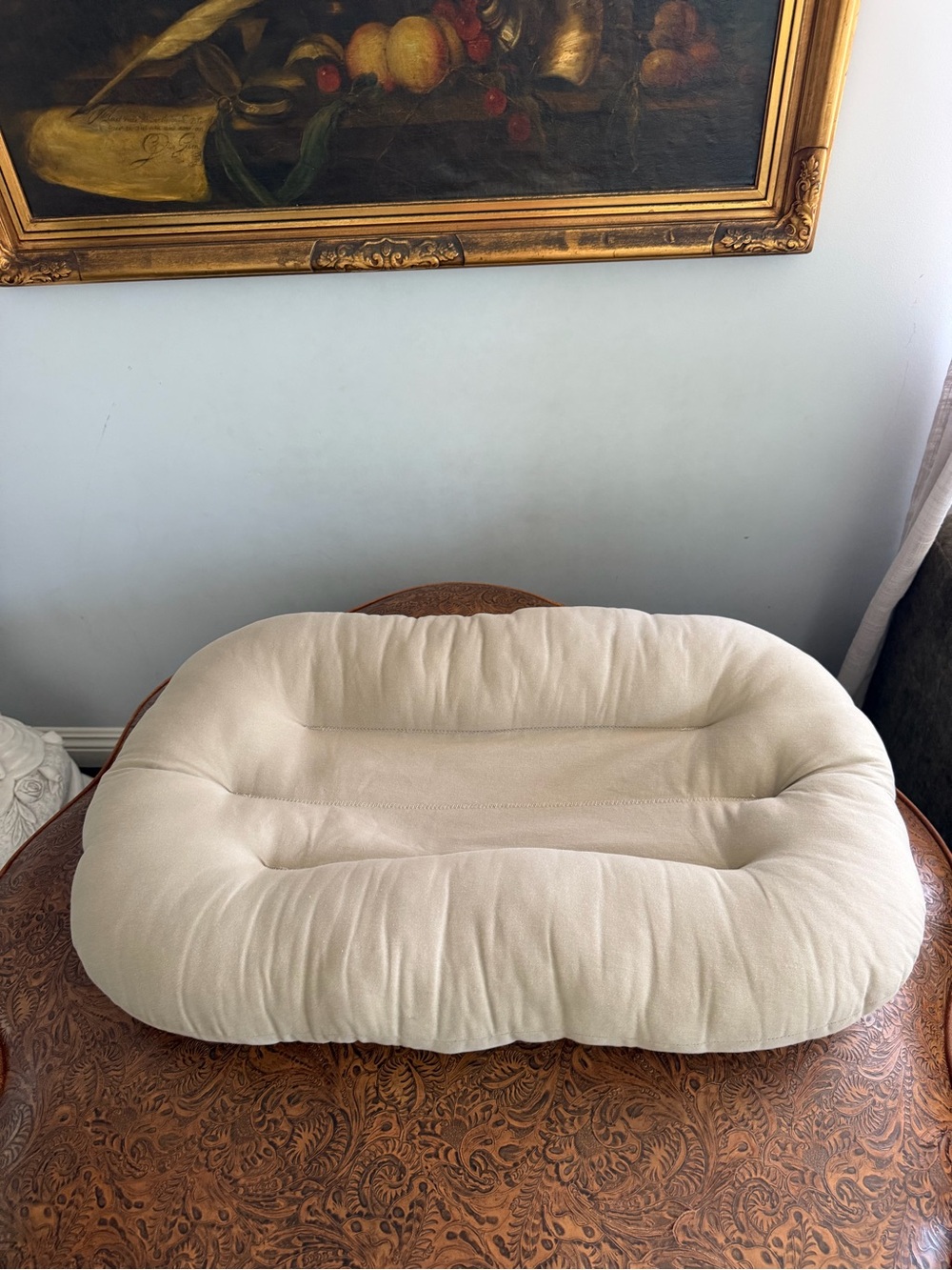 Baby snuggleme cushion